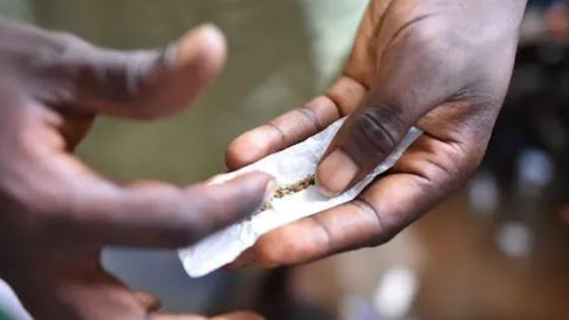 The Menace of ‘Kush’: a rising epidemic of drug abuse among adolescents in the Gambia
