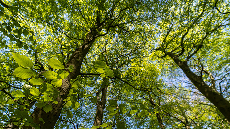 Navigating the path to a zero carbon city for better tomorrow